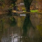 Herbst am Stadtgraben