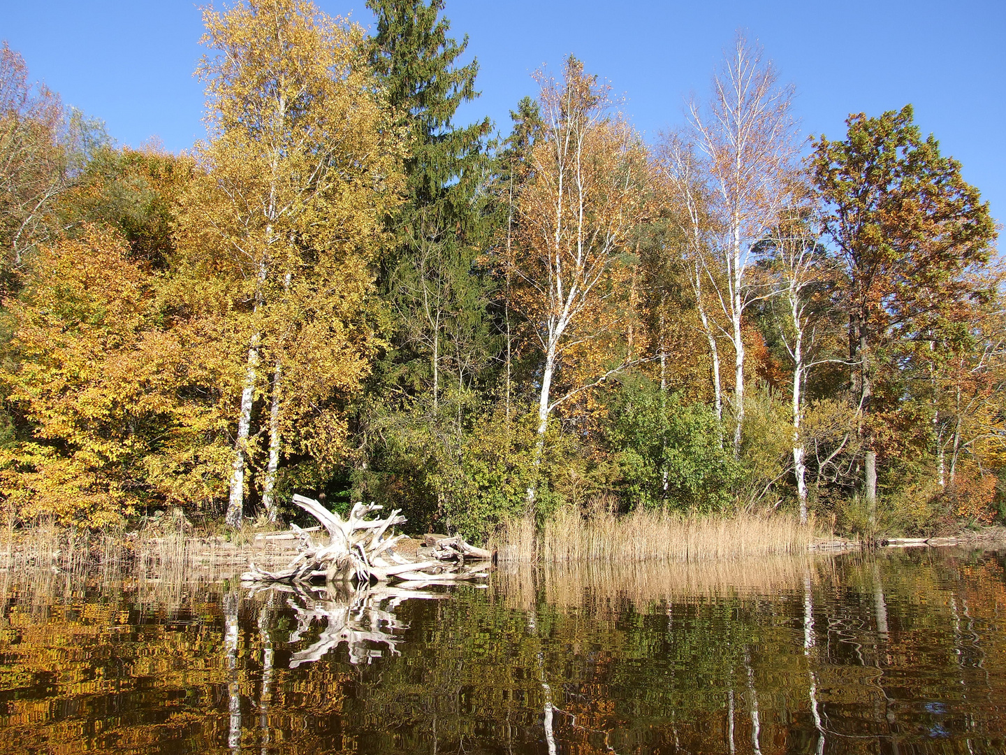 Herbst am Staffelsee