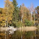 Herbst am Staffelsee