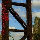 Herbst am Stahl