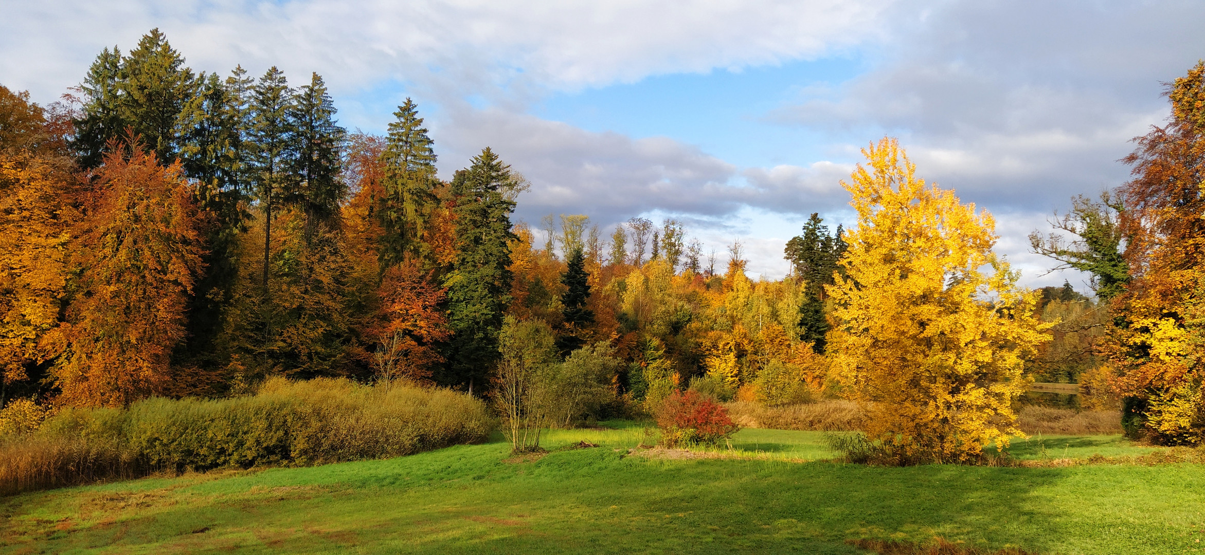 Herbst am Staldenweiher bei Fehraltorf