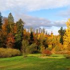 Herbst am Staldenweiher bei Fehraltorf