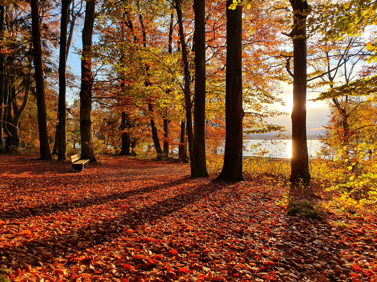 Herbst am Starnberger See 1