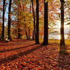 Herbst am Starnberger See 1