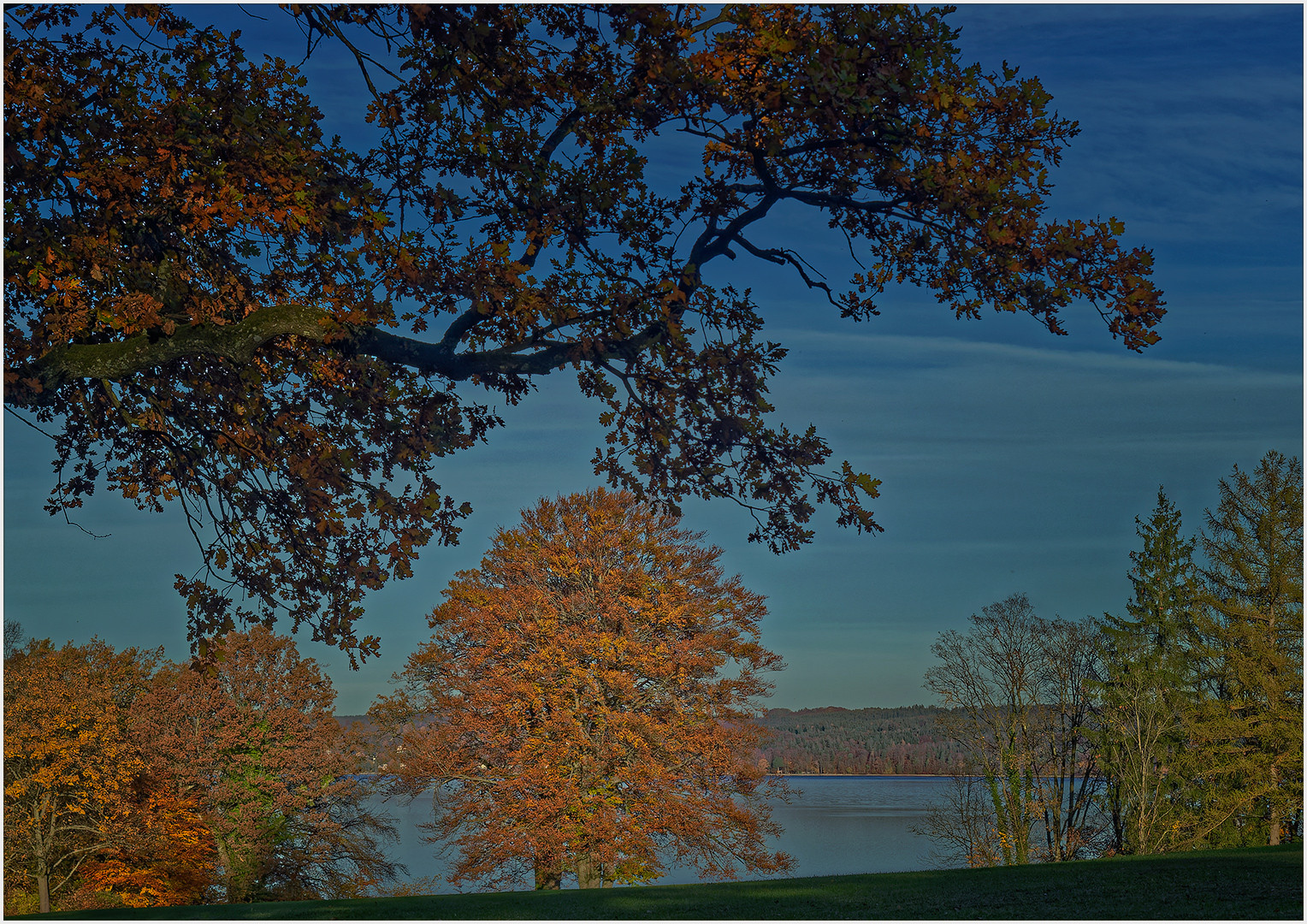 Herbst am Starnberger See