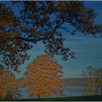 Herbst am Starnberger See