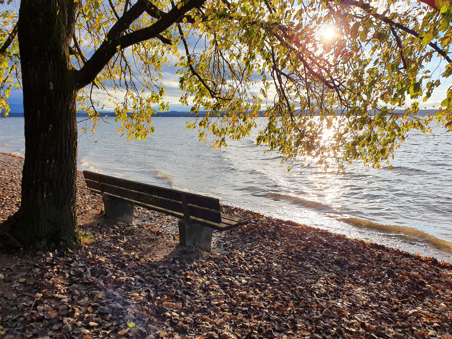 Herbst am Starnberger See 3