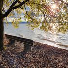 Herbst am Starnberger See 3