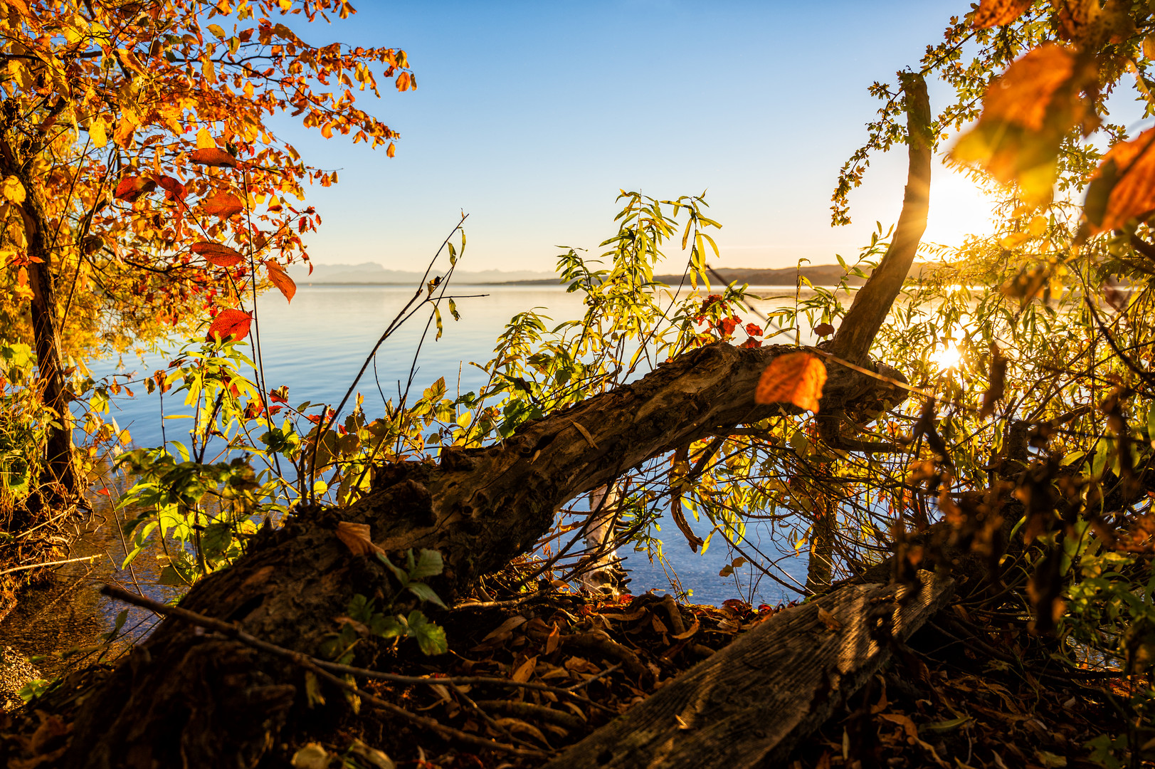 Herbst am Starnberger See