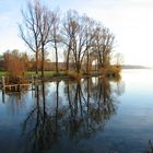 Herbst am Starnberger See