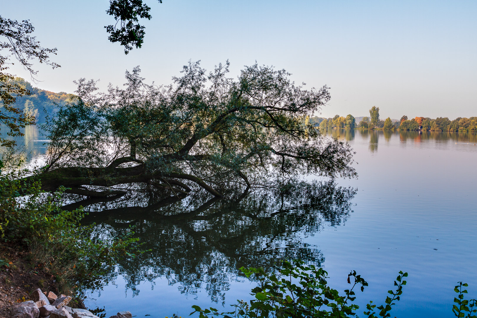 Herbst am Stausee