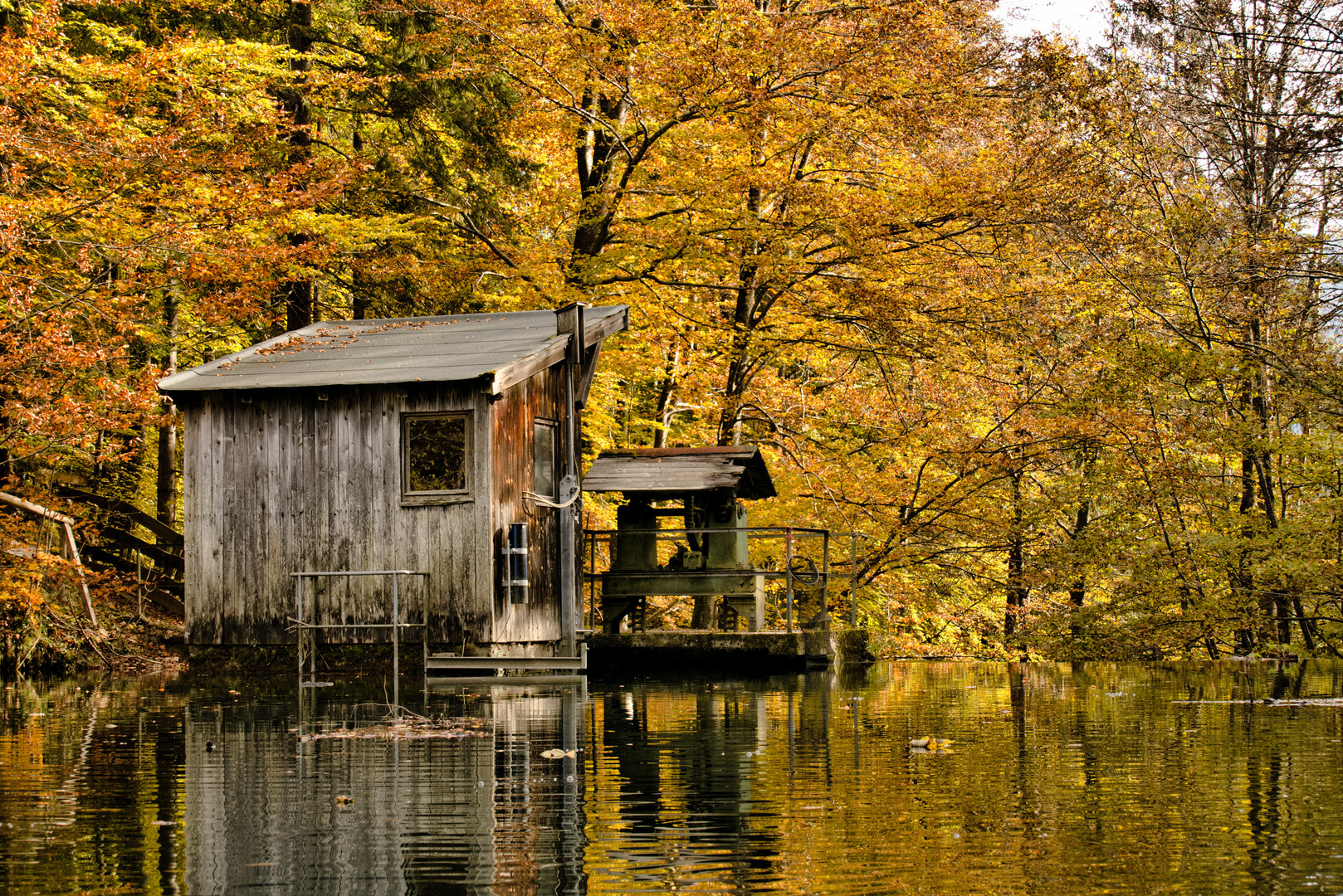 Herbst am Stausee