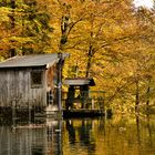 Herbst am Stausee