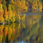 Herbst am Stausee Dobra