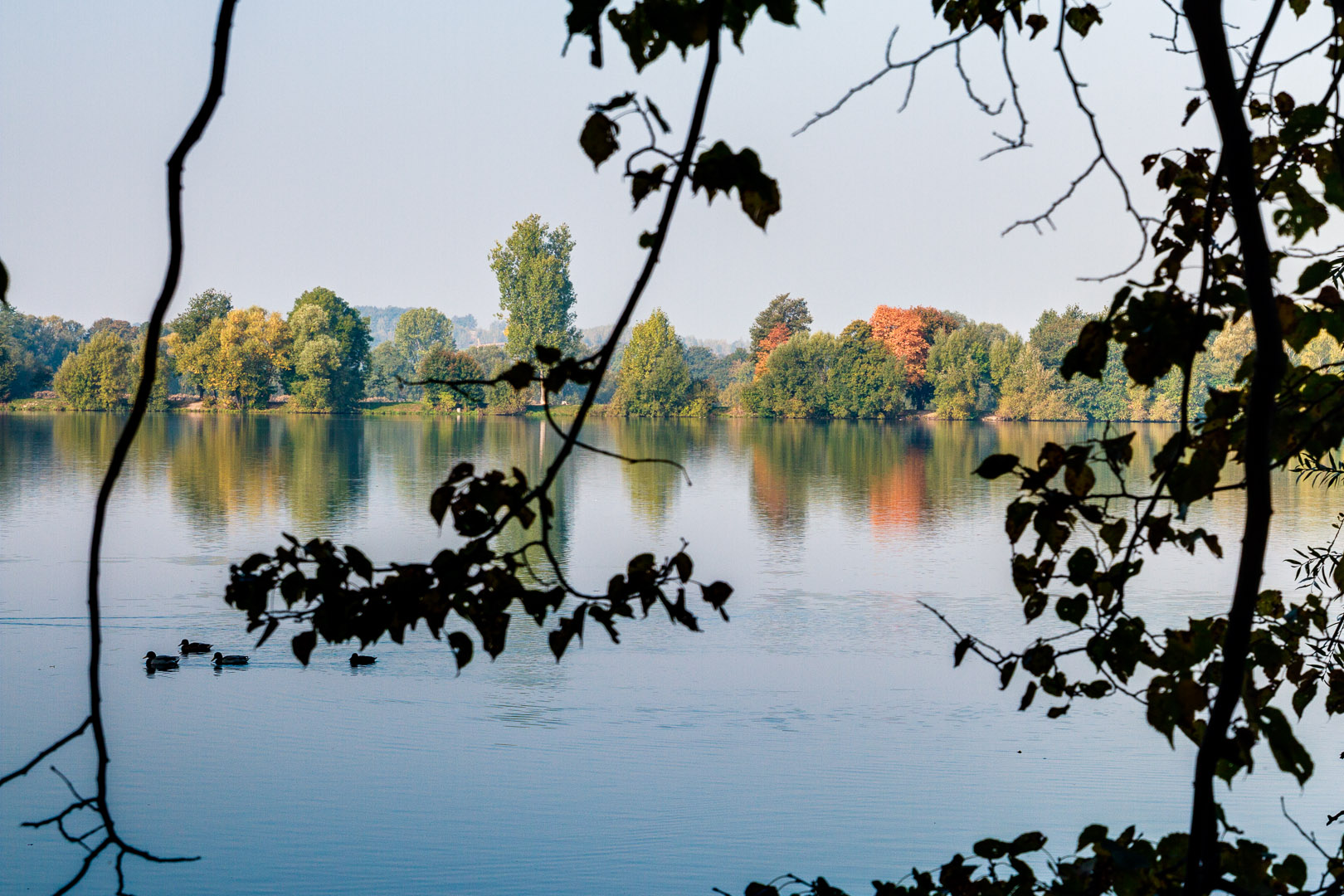 Herbst am Stausee