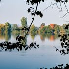 Herbst am Stausee