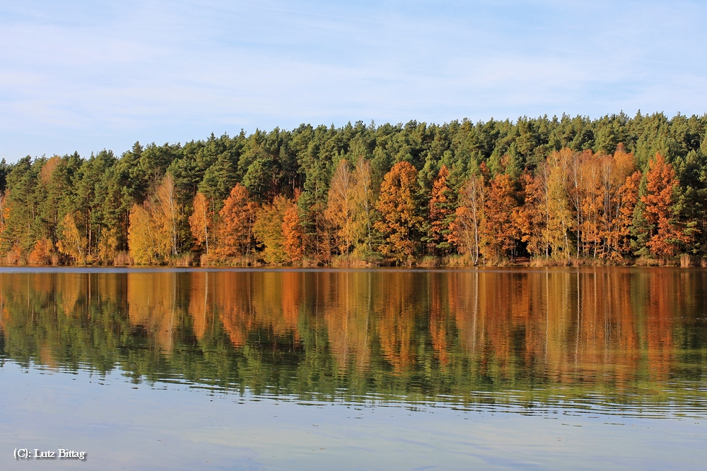 Herbst am Stausee Hachemühle