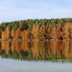 Herbst am Stausee Hachemühle