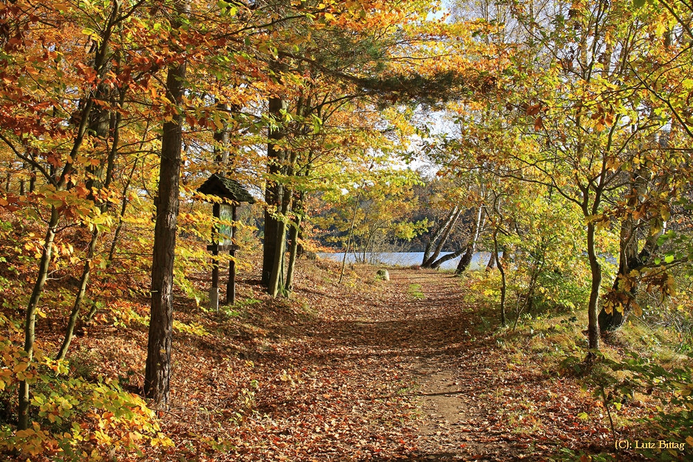 Herbst am Stausee Hachemühle