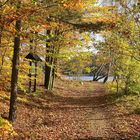 Herbst am Stausee Hachemühle