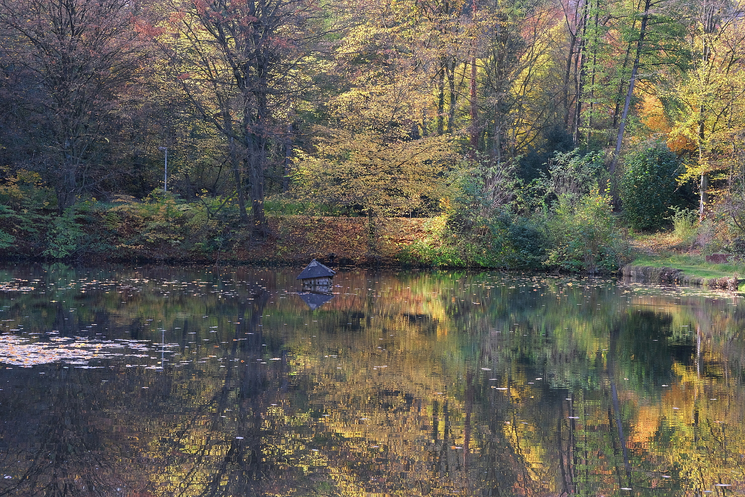 Herbst am Stauteich