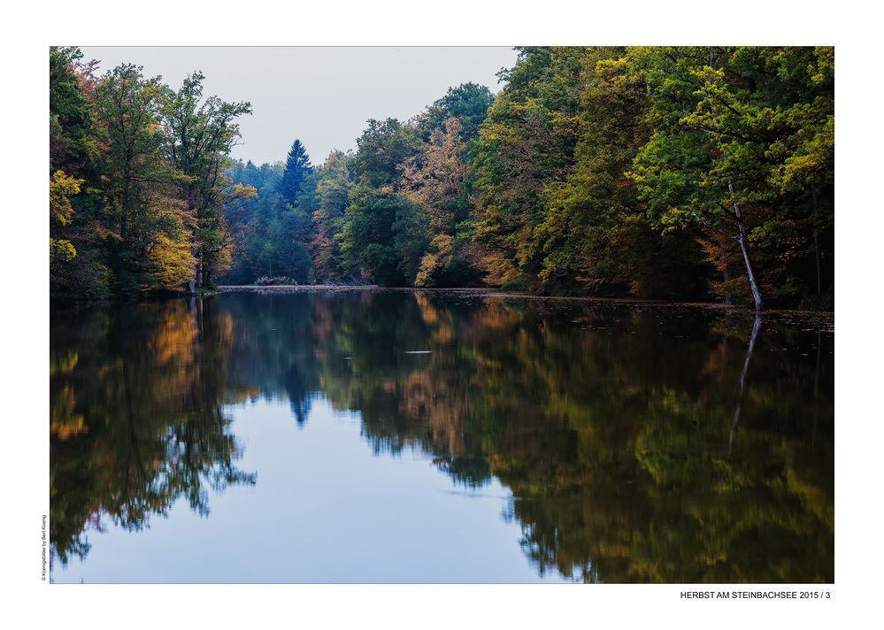 HERBST AM STEINBACHSEE (3)