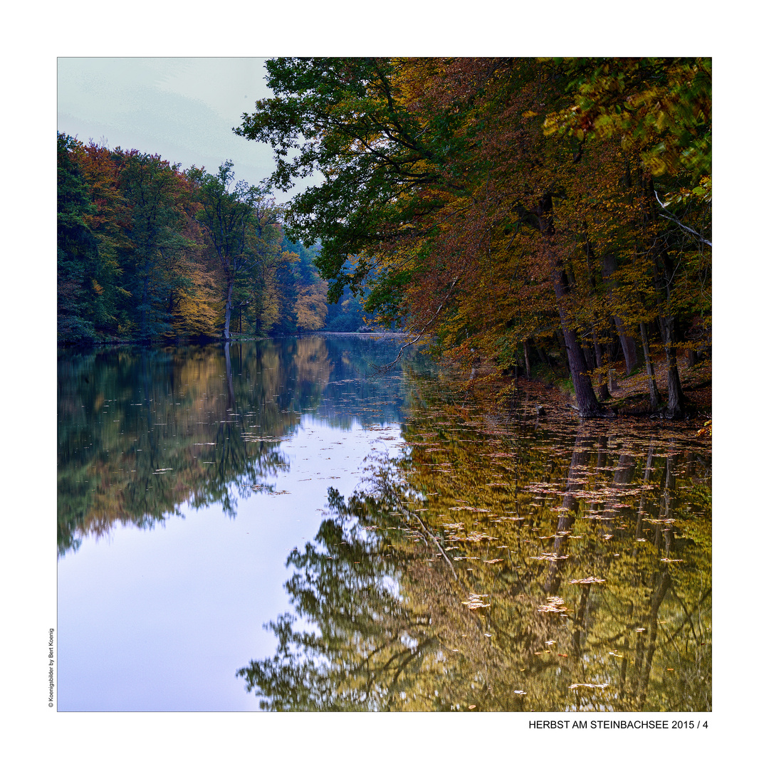 HERBST AM STEINBACHSEE (4)