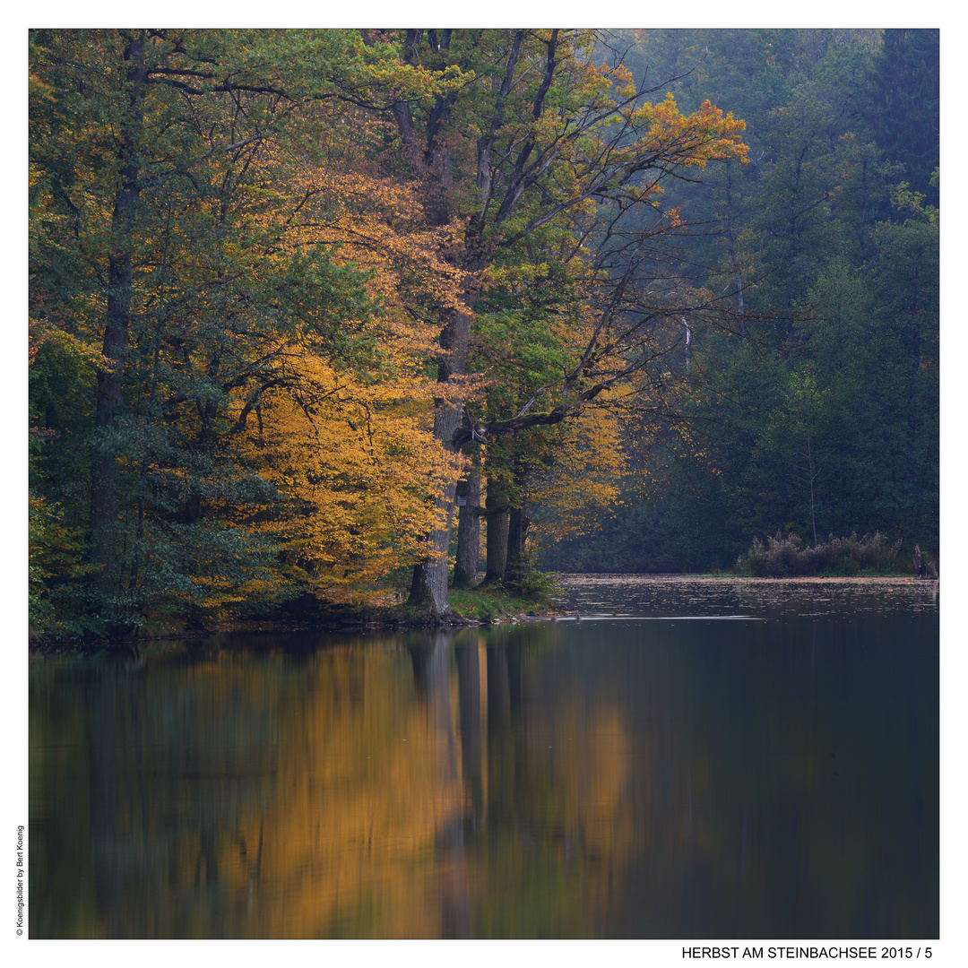 HERBST AM STEINBACHSEE (5)