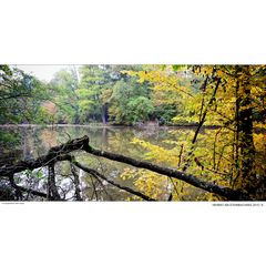 HERBST AM STEINBACHSEE (6)