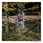 HERBST AM STEINBACHSEE (7)