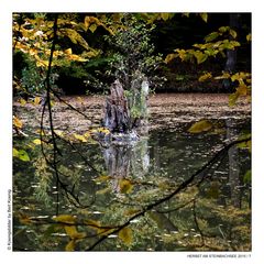 HERBST AM STEINBACHSEE (7)