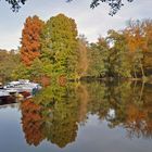 Herbst am Steinbrücker Teich