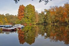 Herbst am Steinbrücker Teich