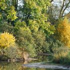 Herbst am Steinhorster Becken