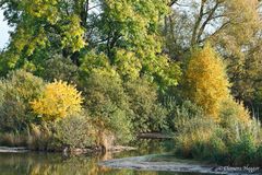 Herbst am Steinhorster Becken