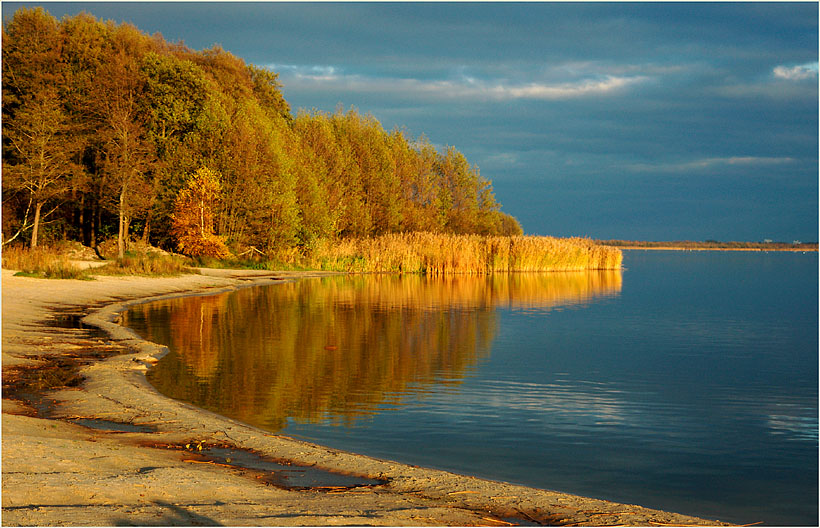 Herbst am Steinhuder Meer