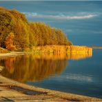 Herbst am Steinhuder Meer