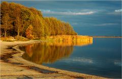 Herbst am Steinhuder Meer