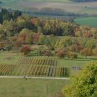 Herbst am Steinsberg