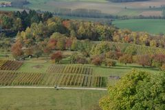 Herbst am Steinsberg