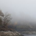 Herbst am Steinufer