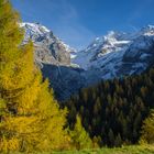 Herbst am Stilfser Joch