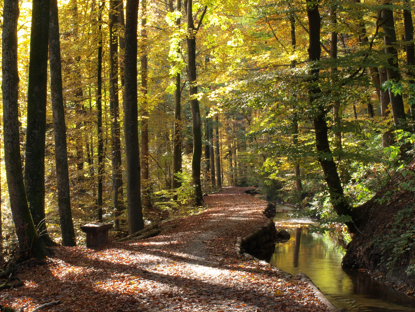 Herbst am "Stillen Bach"