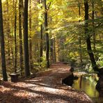 Herbst am "Stillen Bach"