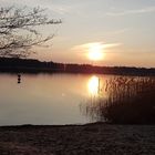 Herbst am Storkower See