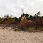 Herbst am Strand 1