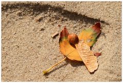 Herbst am Strand