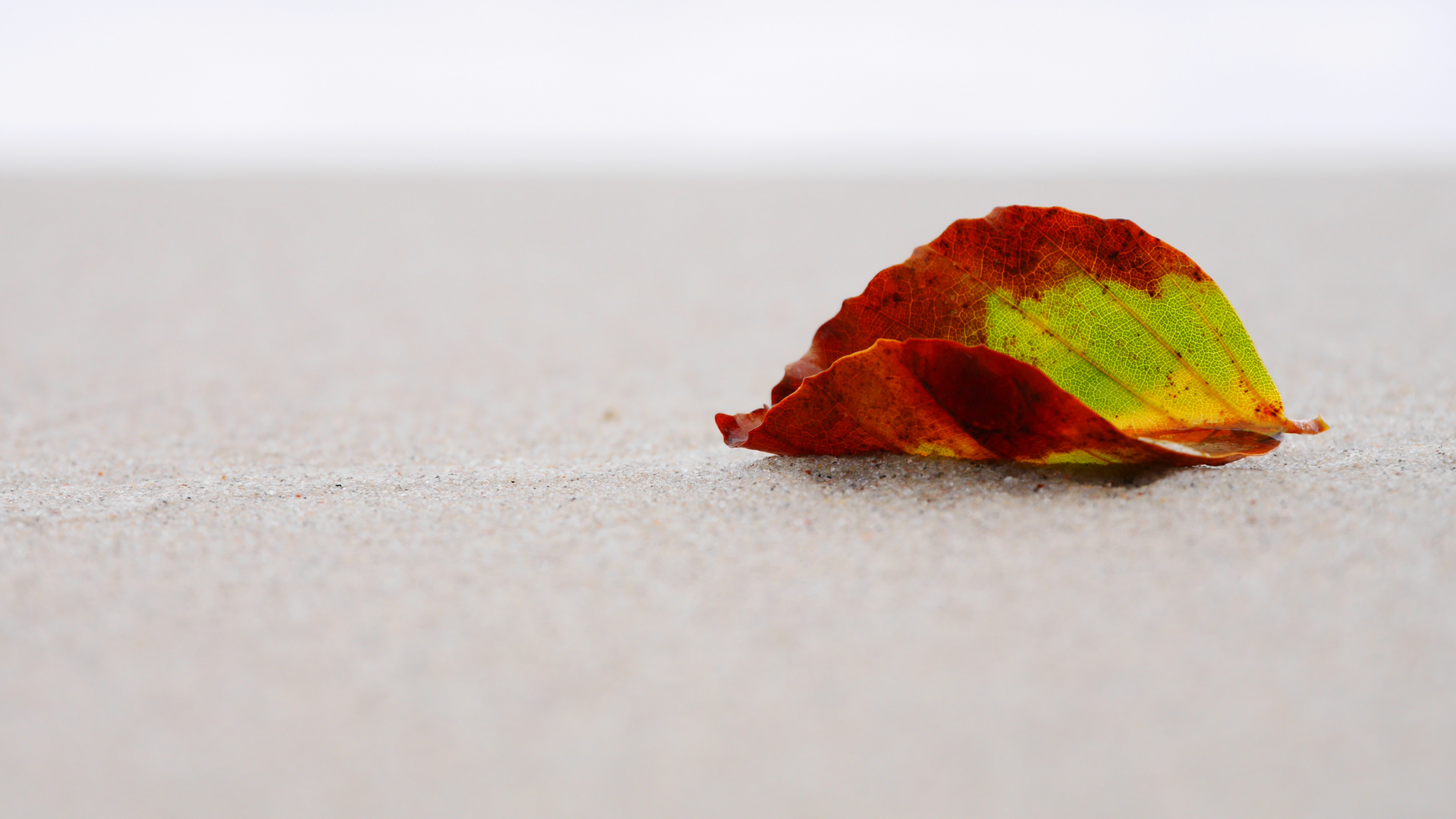 Herbst am Strand