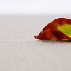 Herbst am Strand