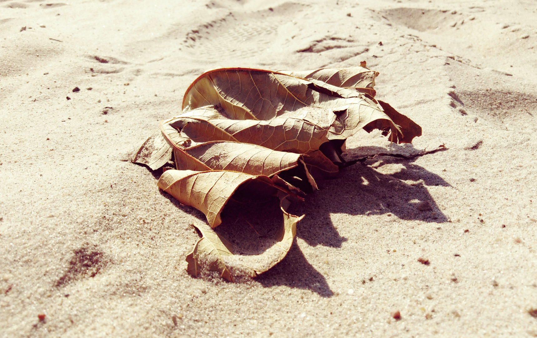 Herbst am Strand